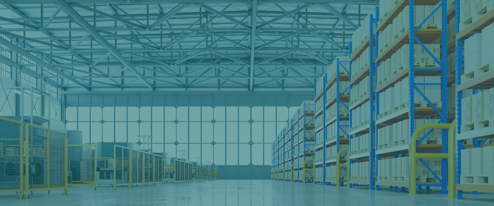 The Future Role of the Warehouse Management System